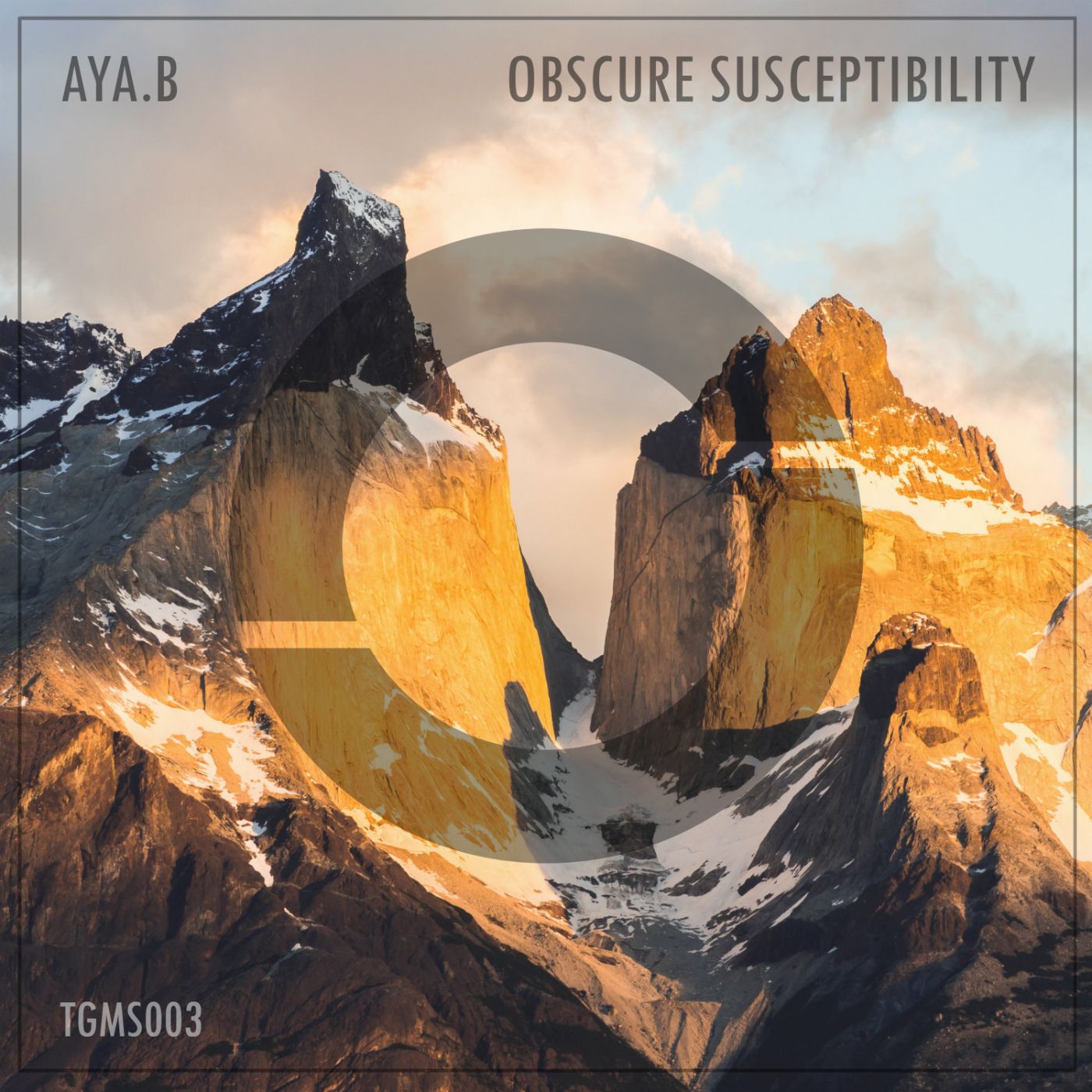 aya.b - obscure susceptibility