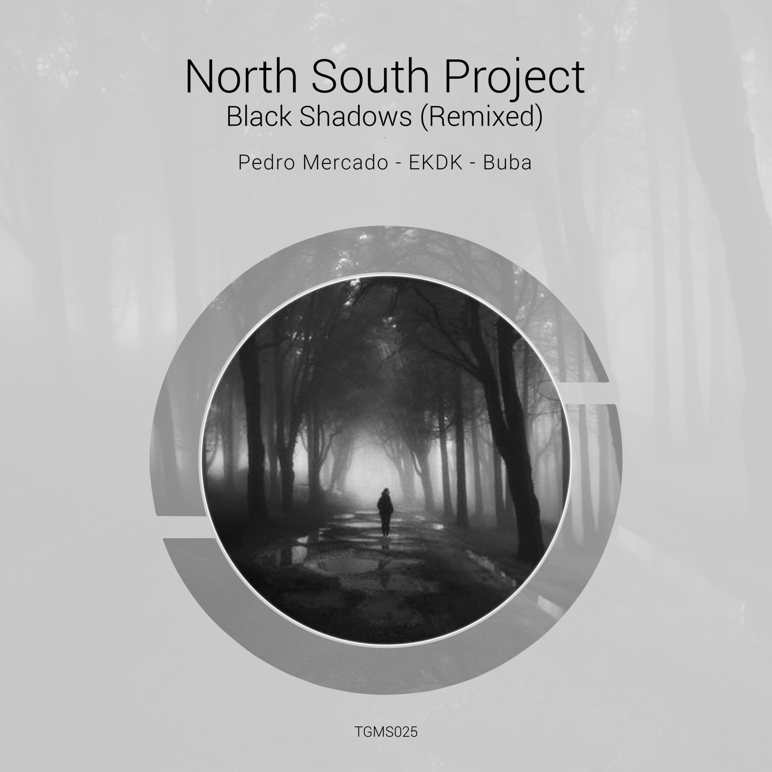 North South Project - Black Shadows (Remixed)