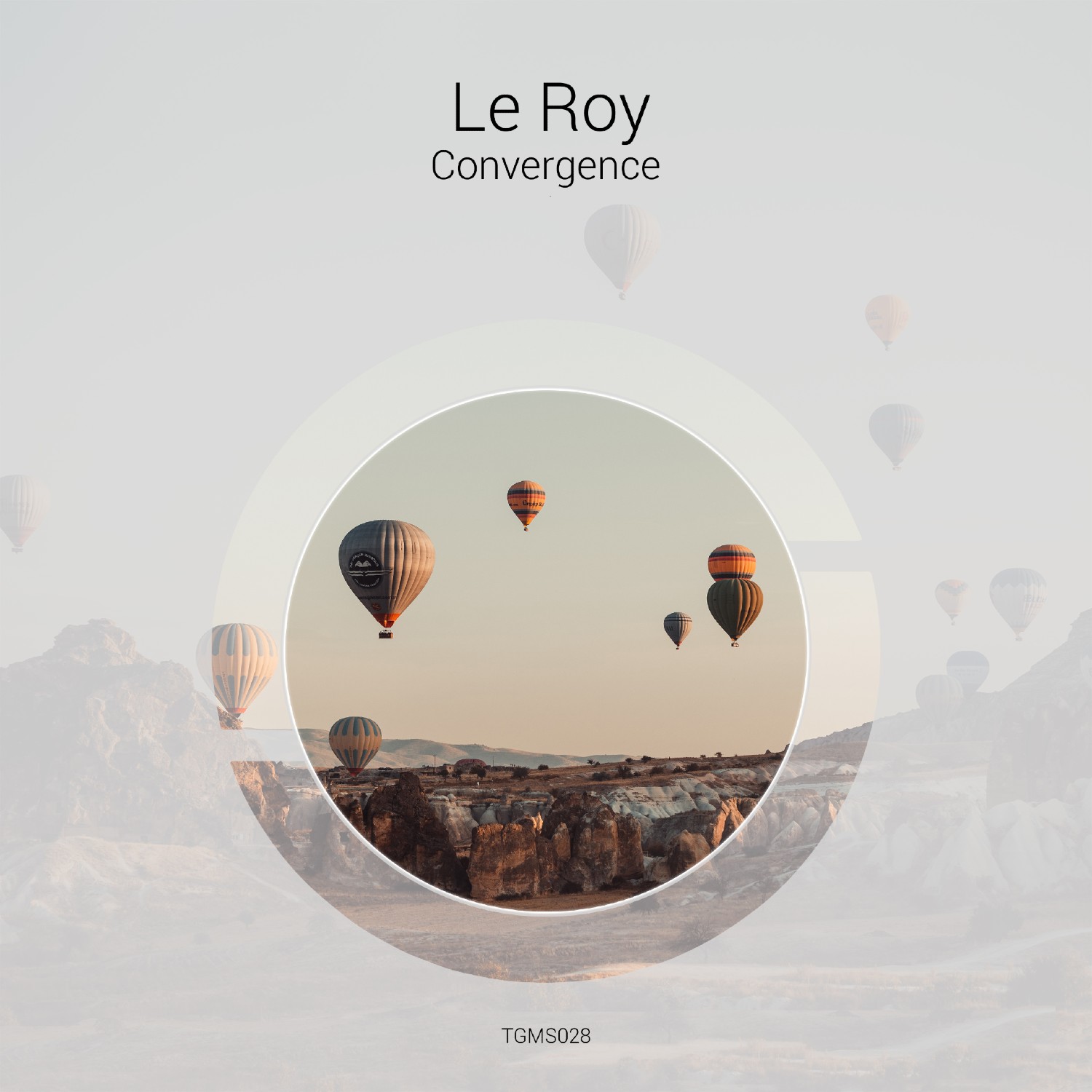 Le Roy - Convergence
